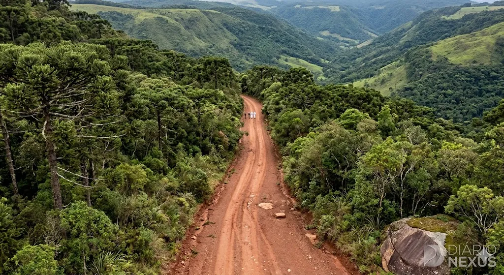 Feminicídio em Alfredo Wagner: Isolamento Rural e a Falta de Sinal que Silencia Crimes em SC